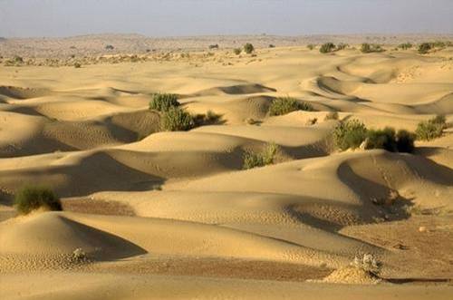 Desert Experience