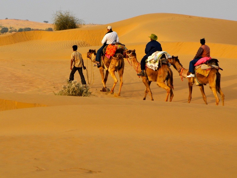 Camel Experience
